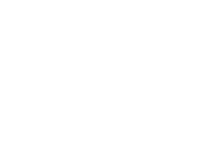 Ibm partner plus platinum partner mark rev white rgb 300x218
